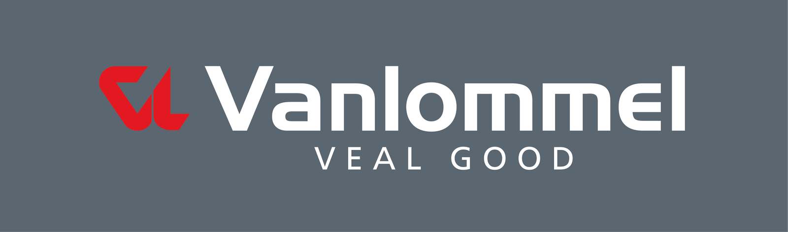 Vanlommel_Logo_Negatief_Rechthoek_DEF (1)